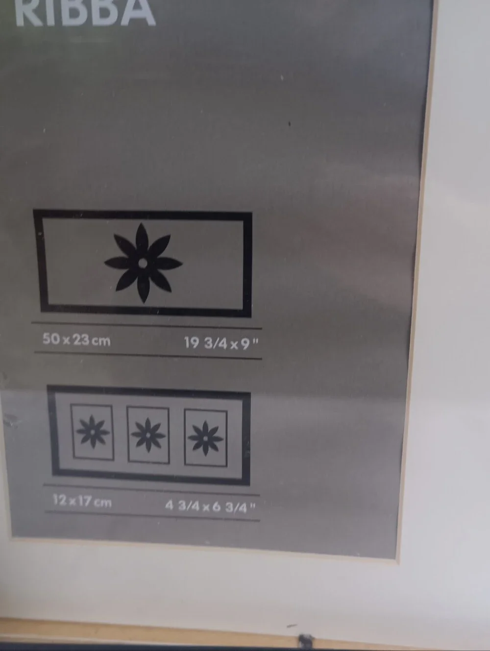 IKEA Ribba Black Picture Frame